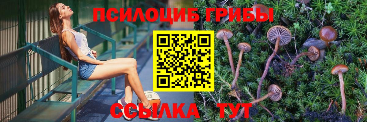 Комсомольск-на-Амуре  Галлюциногенные грибы ЛСД  Вход с VPN  Псилоцибиновые грибы мицелий 