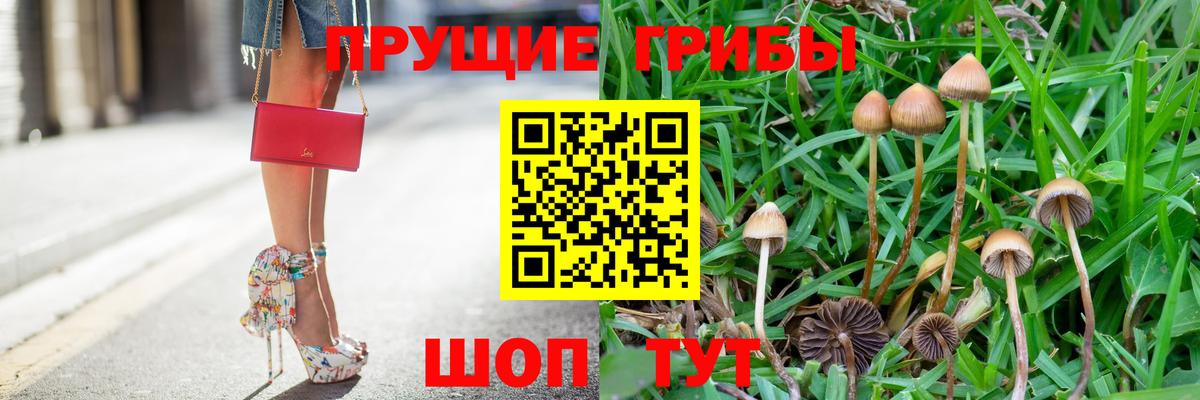 Псилоцибиновые грибы мицелий Комсомольск-на-Амуре